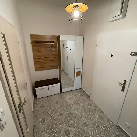 Friendly In Apartment
